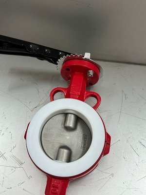 Ventilateur à beurre revêtu de PFA et de PTFE Ventilateur à beurre revêtu de BFV Ventilateur à flèche Ventilateur à papillon Pneumatique